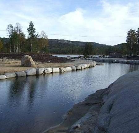 Flott Utleiehytte Pa Gautefall Treungen المظهر الخارجي الصورة